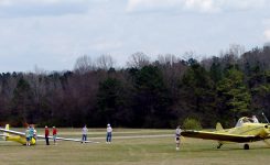 Southern Eagles Soaring